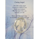 Healing Angel - Caring Angel (6 Pcs) HAE11